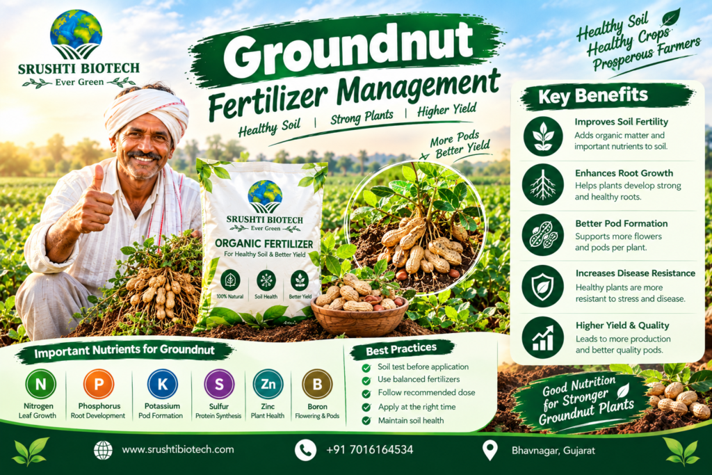 Groundnut fertilizer management for Indian farmers