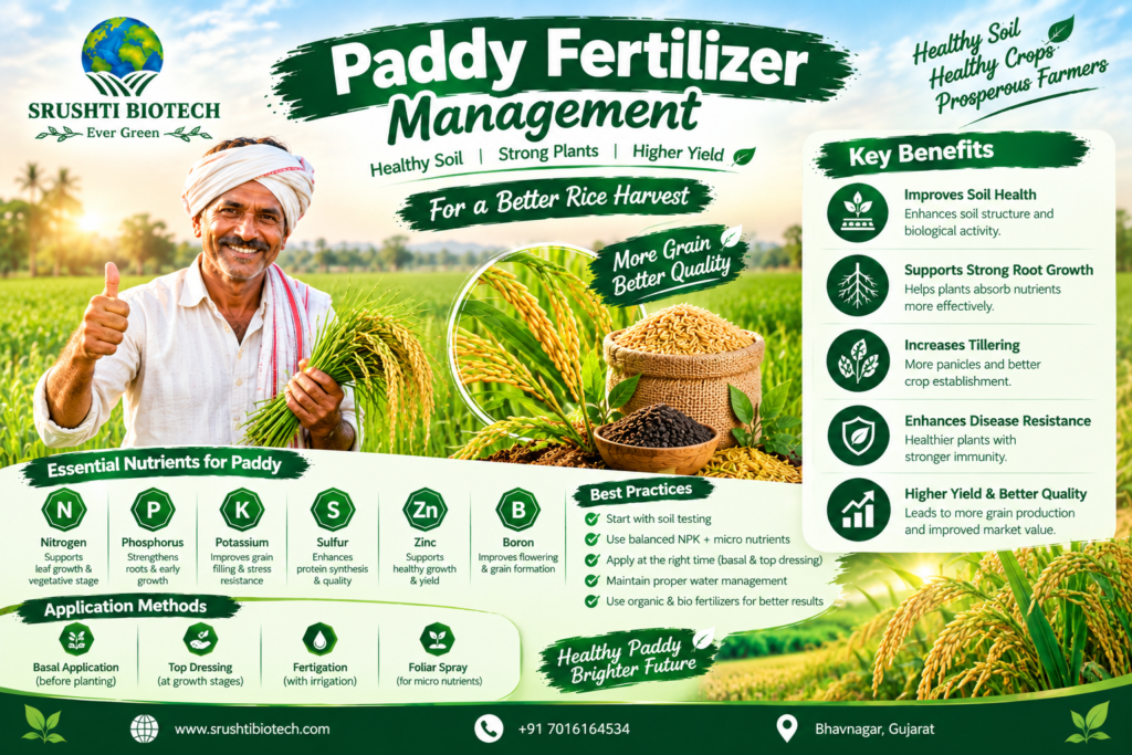Paddy fertilizer management for Indian farmers
