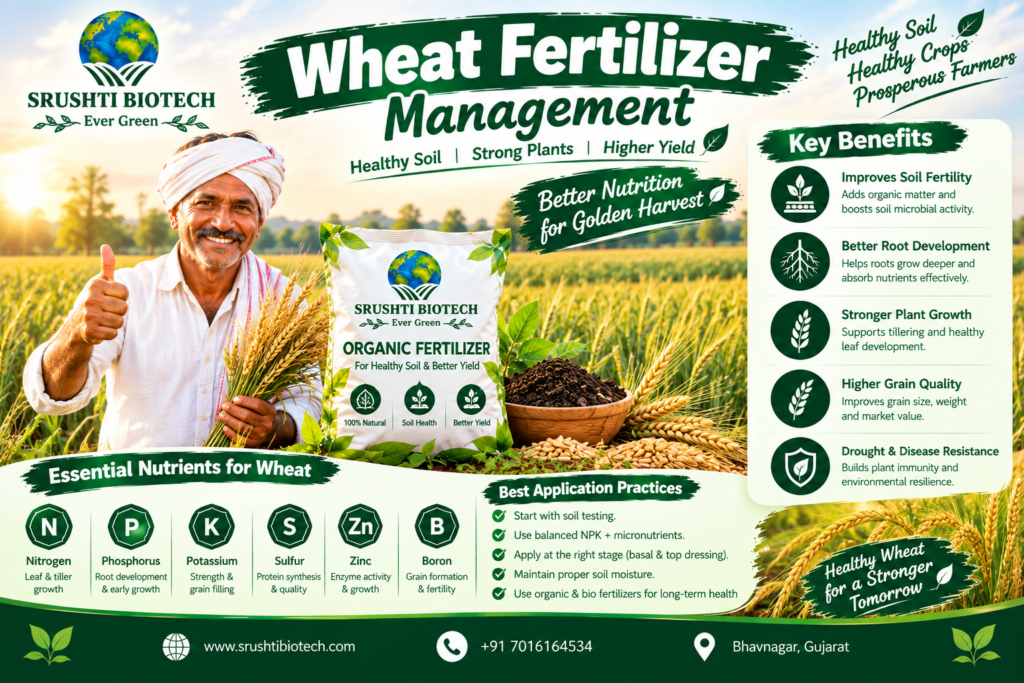 Wheat fertilizer management for Indian farmers